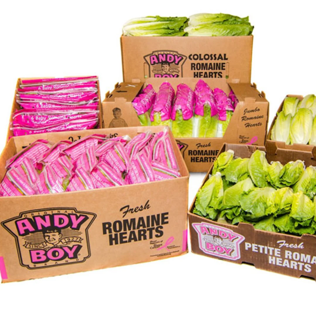 andy boy items for ontario cash plus carry