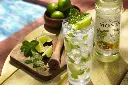 mojito_mix_syrup-mojito_v1.webp