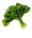 Spinach.webp