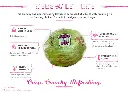 12-AB-Infographic-Iceberg-Lettuce.webp
