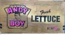 Andy Boy-Lettuce-1x24.webp