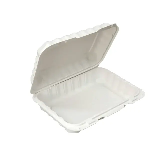 Hinged-Rectangular-Container-9x6x2.522-Shallow-1.webp