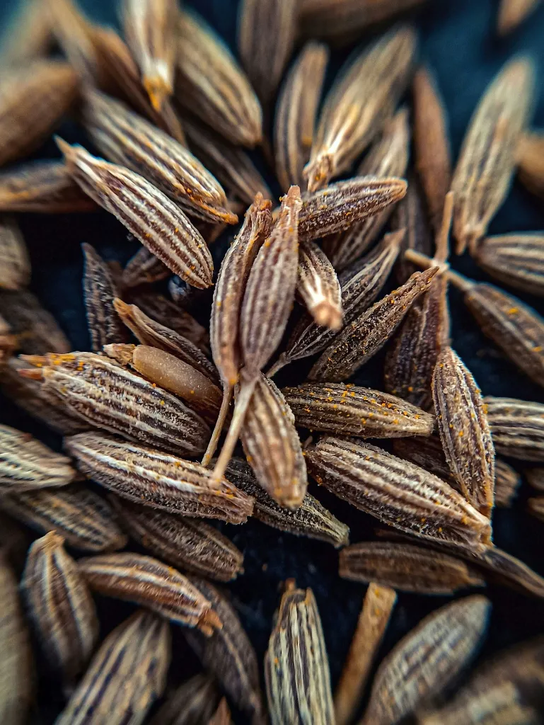 unsplash_CfryyqgO9zc_cumin.webp