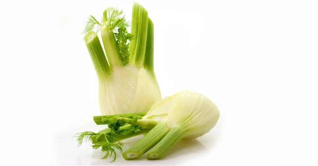 Anise CAL - Andy Boy (1 x 18)