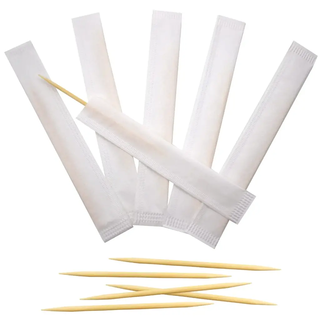 Eco Craze Toothpicks (1 x 1000pc)