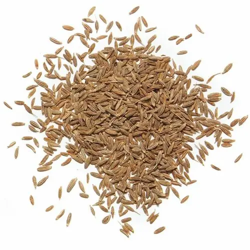 India Cumin Seeds (10 x 5lb)
