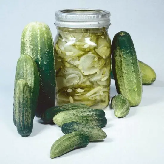 Kubba Sliced Longitudinal Cucumber Pickle Bucket (1 x 18L)