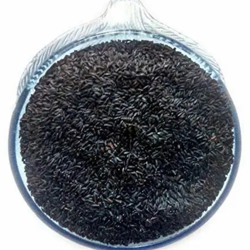 Nikita Tukmalunga-1 x 100G