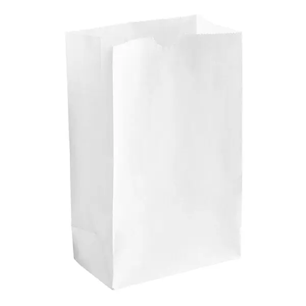 [BAGP013] Paper Bag - White - Blanc - #3 - 3lb - 500pcs - Pack