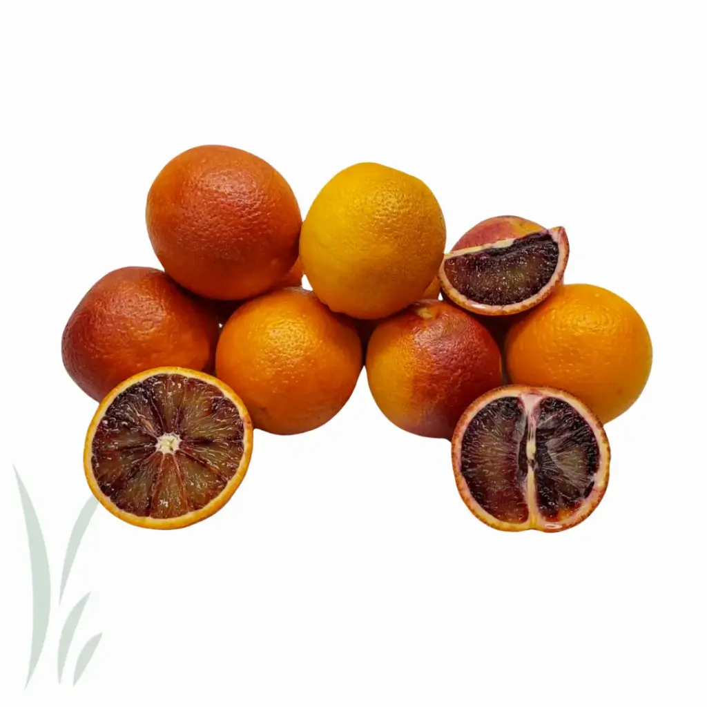 Citrus Misc Blood Orange - CAL (1 x 56)