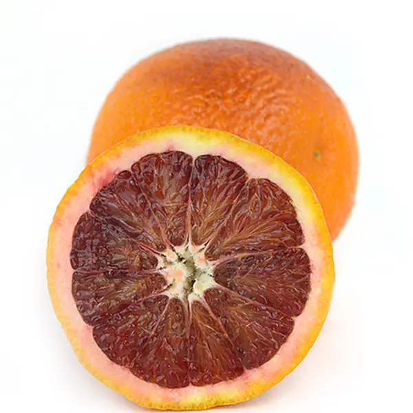 Citrus Misc Blood Orange - CAL (1 x 88)