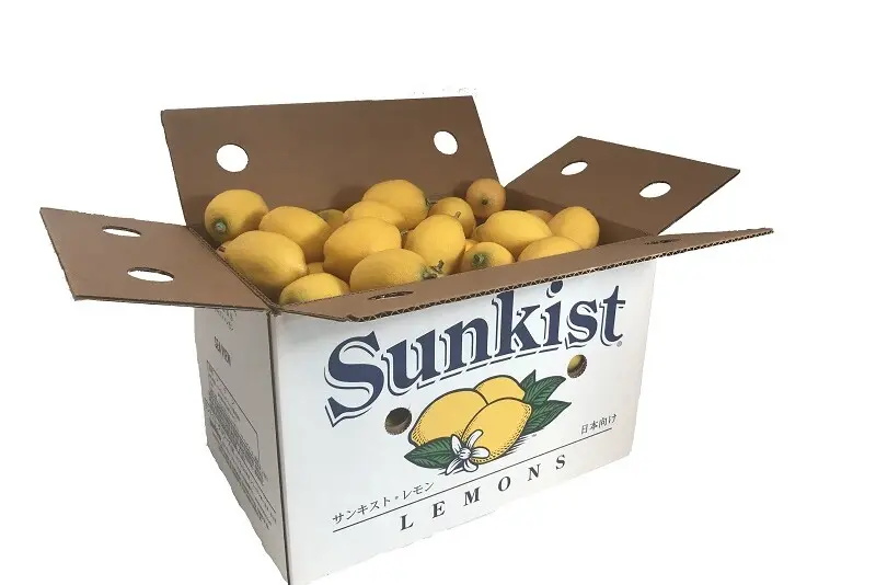 Lemon - Lemon Sunkist Saticoy - CAL (1 x 75)