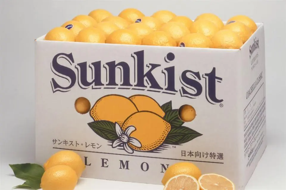 Lemon - Lemon Sunkist Saticoy - CAL (1 x 115)