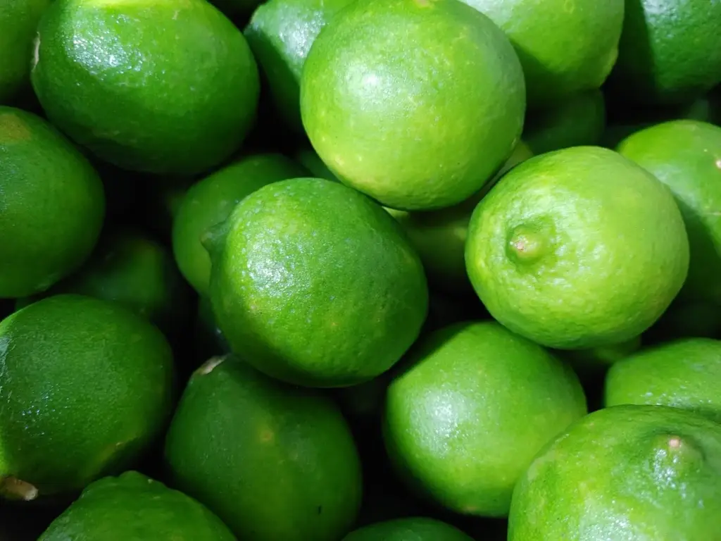 Lime - Lime - MX (1 x 48)