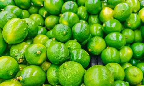 Fresh Lime - 200-230pcs - Case
