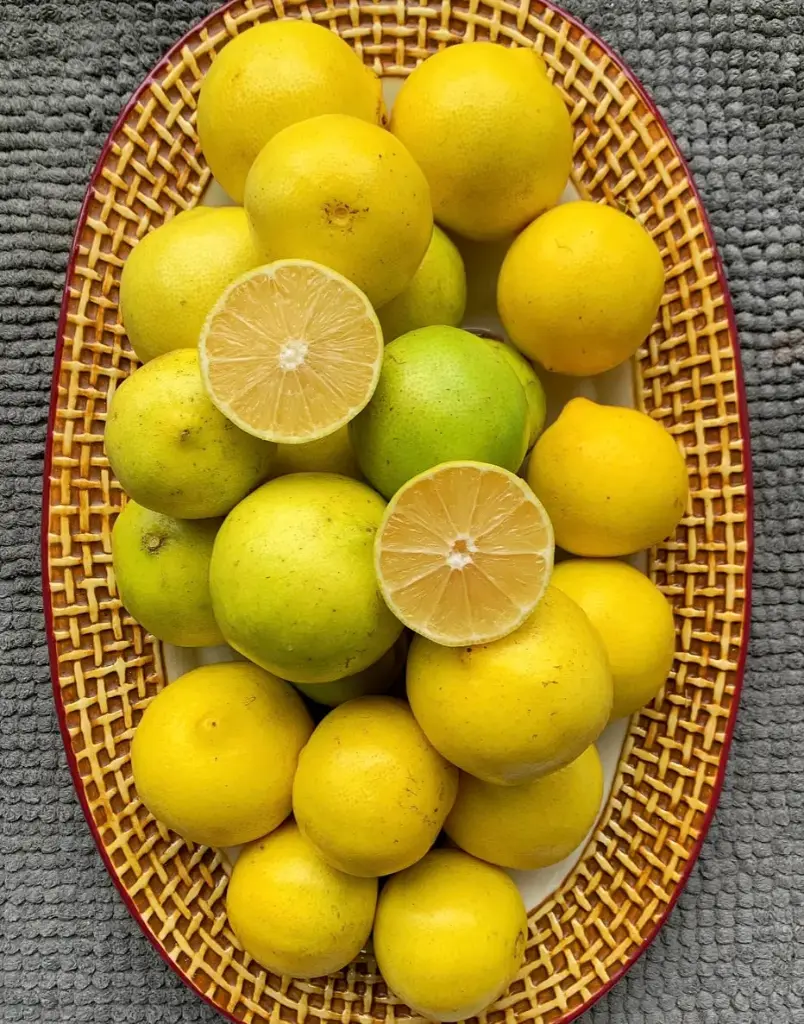 Lime - Mammoth Sweet Lime - USA (1 x 40lb)