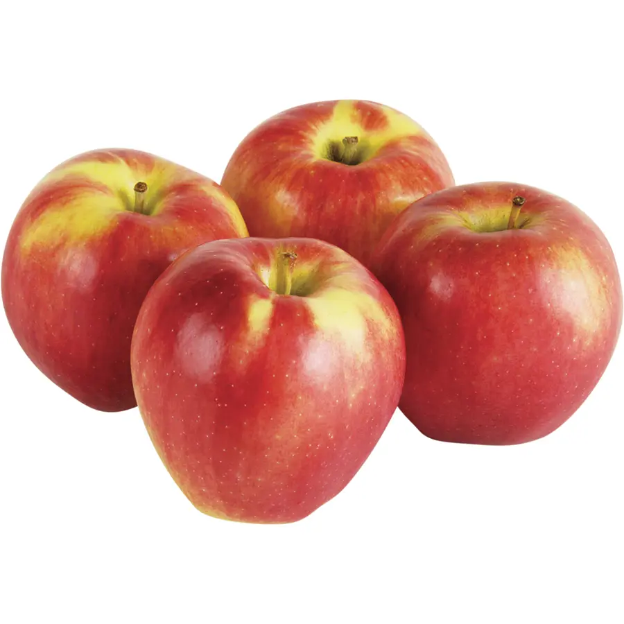Apple Ambrosia Apple Ambrosia FCY - NS (1 x 72)