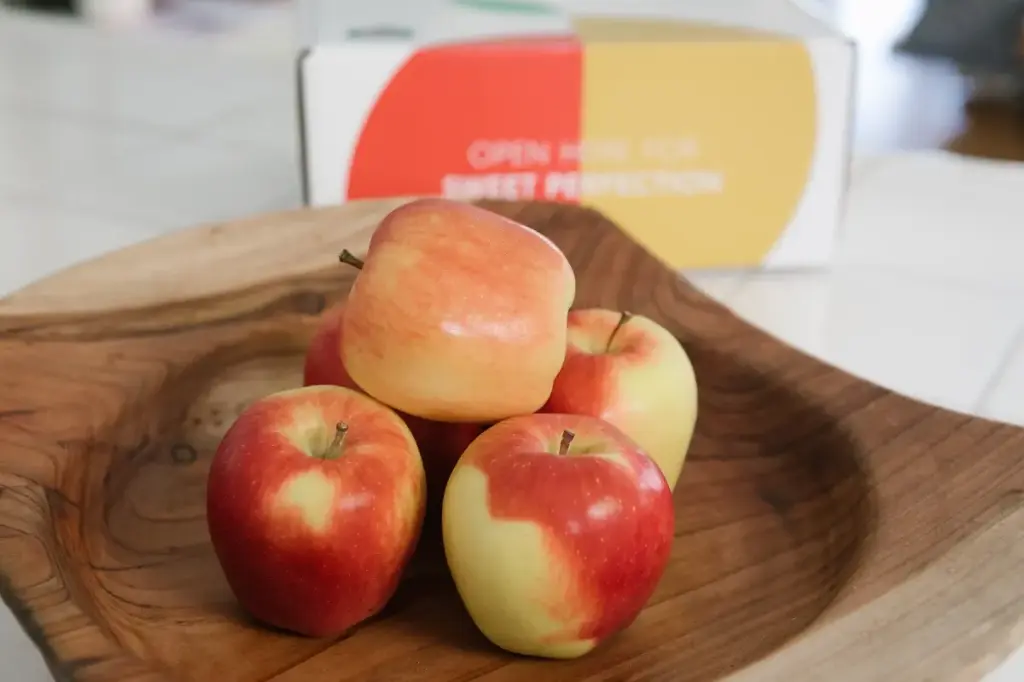 Apple Ambrosia Apple Ambrosia FCY - NS (1 x 64)