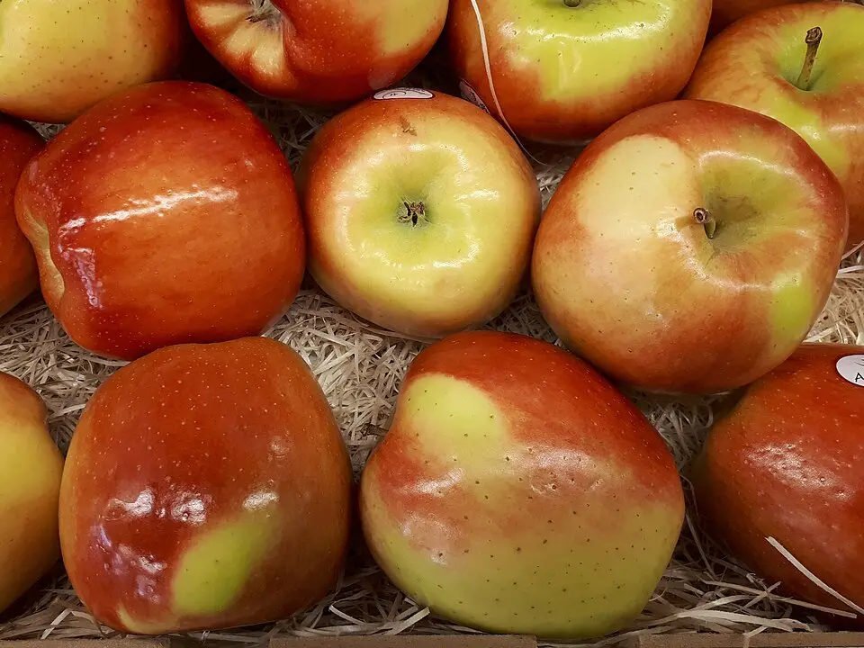 Apple Ambrosia Apple Ambrosia Premium - WA (1 x 72)