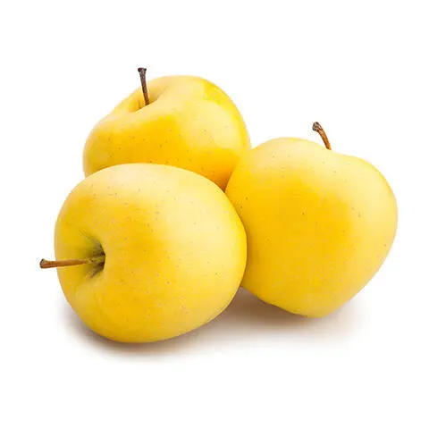 Apple Golden Delicious Apple Golden Delicious - WA (1 x 72)