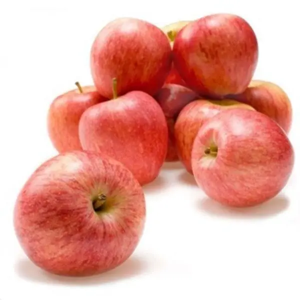 Fresh Apple Royal Gala - ON (12 x 3lb)
