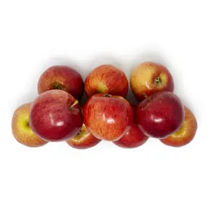 Apple Royal Gala Apple Royal Gala Premium - WA (1 x 72)