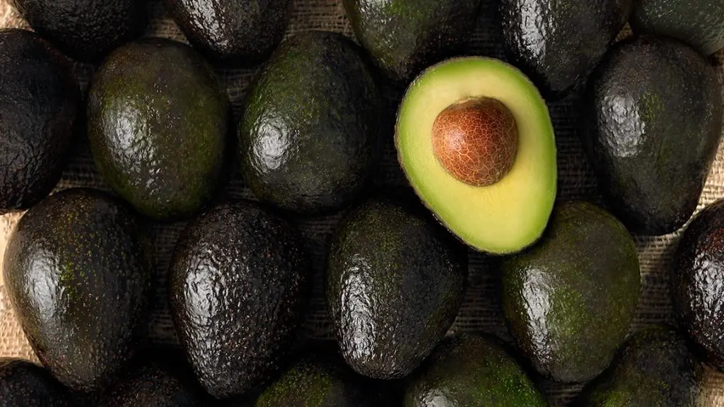 Avocado Avocado - MX (14 x 6)