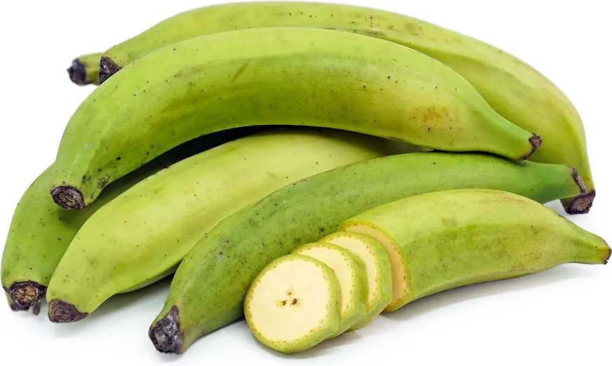 Banana Plantain Banana Plantain Green - SAM (1 x 50lb)
