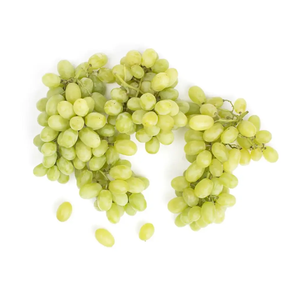 Grape Green Grape Green XL - PER (1 x 18lb)