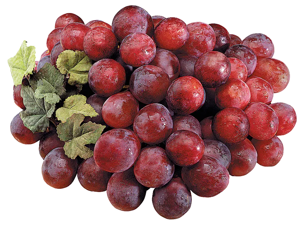 Grape Red Grape Red Allison - PER (1 x 18lb)