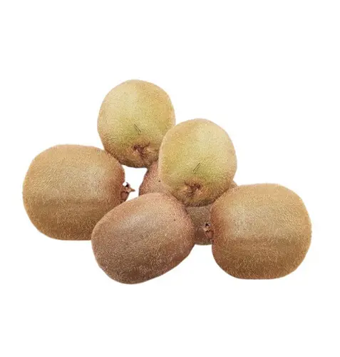 Kiwi - Kiwi Fruit Green - GRE (1 x 25)