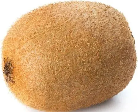 Kiwi - Kiwi Fruit Gold - ITA (8 x 1lb)