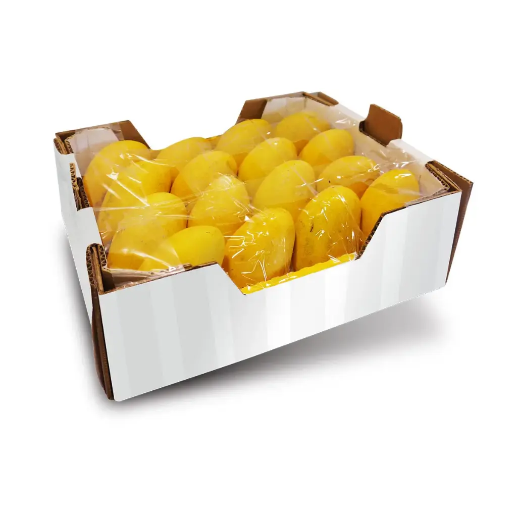 Mango - Mango Ataulfo - ECU (1 x 16)