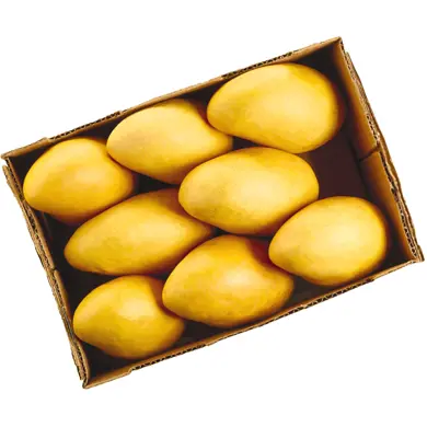 PMAN16 -Mango Ataulfo - 16CT