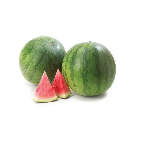 Melons Mini Watermelon SDLS IP - GUA (1 x 9)