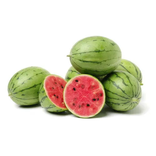 Melons Mini Watermelon SDLS Baby - MX (1 x 6)