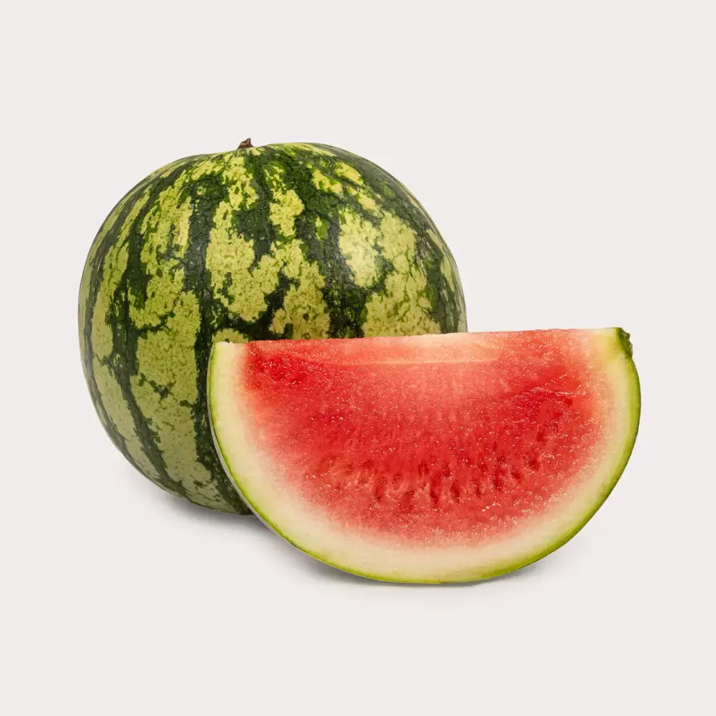 Melons Mini Watermelon Little Bear - MX (1 x 8)