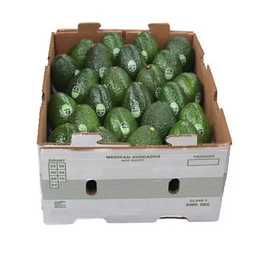 Organic Avocado Avocado Hass Oragnic - MX (18 x 4)