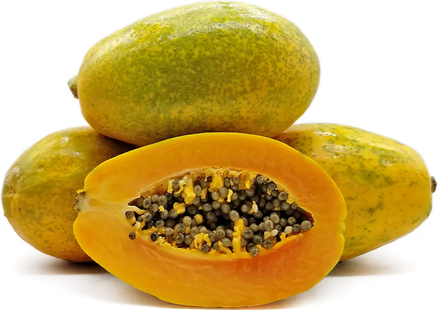 Papaya Papaya Formosa - MX (1 x 10)