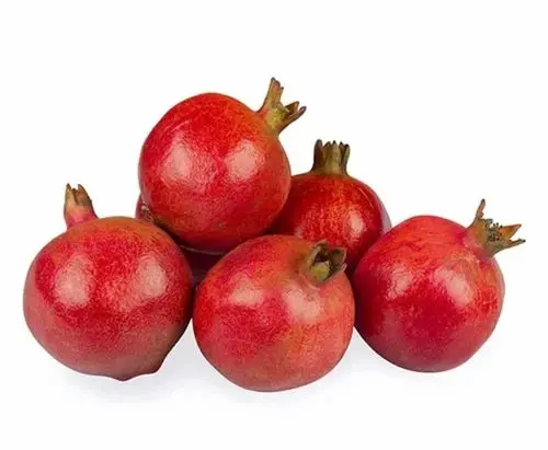 Fresh Pomegranate - TUR (1 x 9)- Case