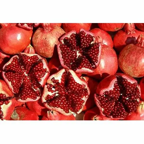 Pomegranate - Pomegranate - TUR (1 x 8)