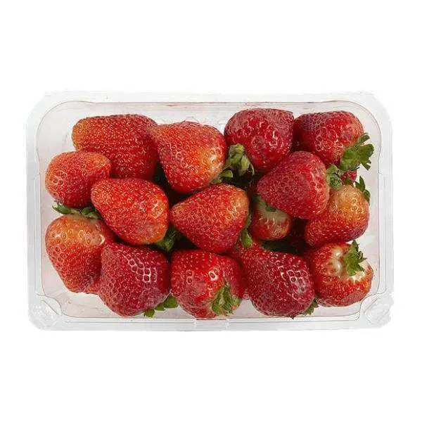 Strawberry Strawberry Clear Spring - FL (1 x 8)