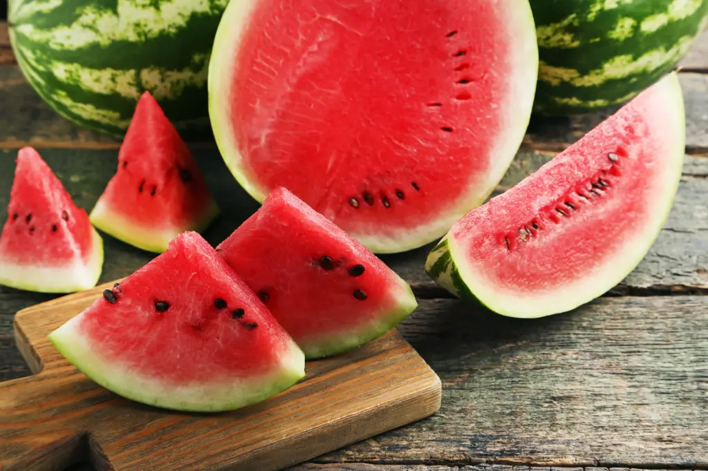 Fresh Watermelon Little Bear SD - MX (1 x 5)- Case