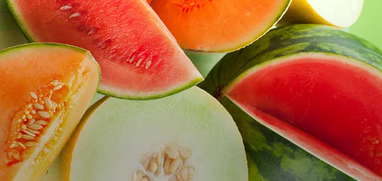 Watermelon Watermelon Little Bear SD - MX (1 x 6)