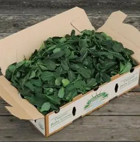 Organic Salads Baby Spinach Organic Salad - USA (8 x 8