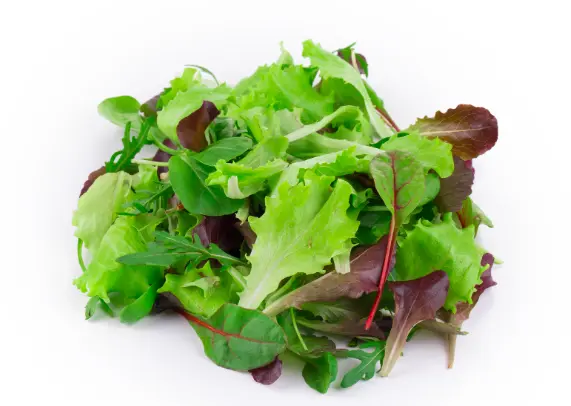 Organic Salads Baby Spring Mix Organic Salad - USA (8 x 5oz)