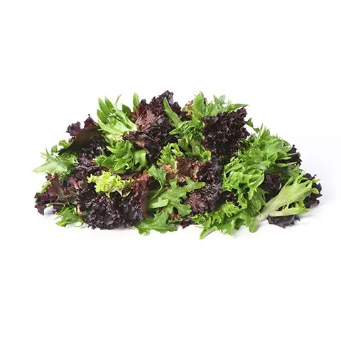 Salads Heritage Blend Salad Mix - USA (1 x 3lb)