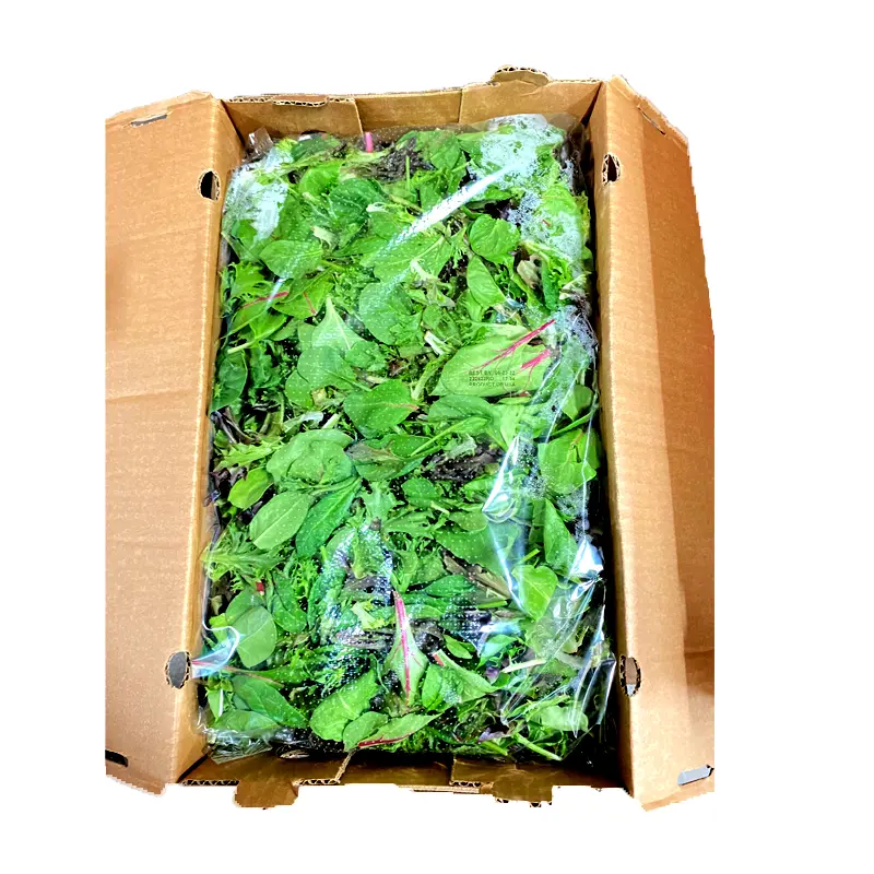 Salads Spring Baby Greens Salad Mix - USA (1 x 3lb)