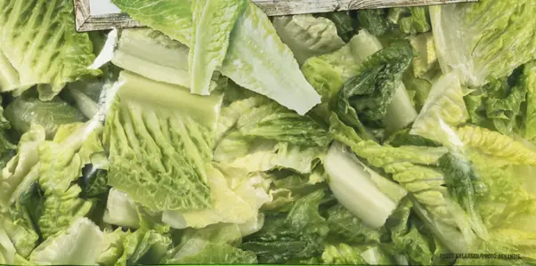 Fresh Romaine Chop Salad - USA (6 x 2lb)- Case