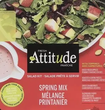 Salads Fresh Attitude Spring Mix Kit - CA (6 x 155g)